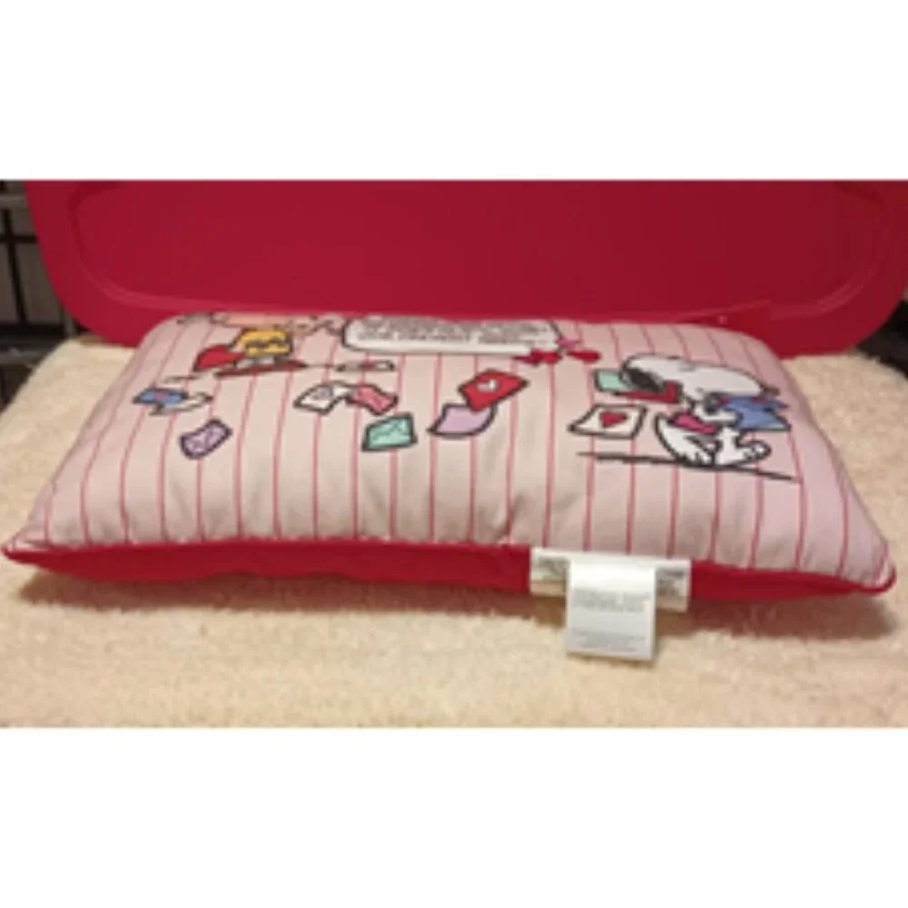 NWT ~ Peanuts Valentine's Snoopy & Charlie Brown Comic Decorative Throw Pillow
